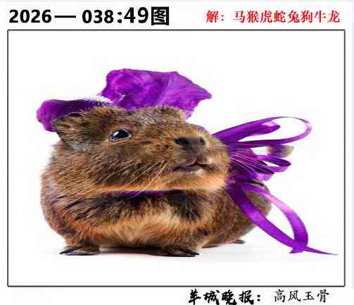 038期49图[图]